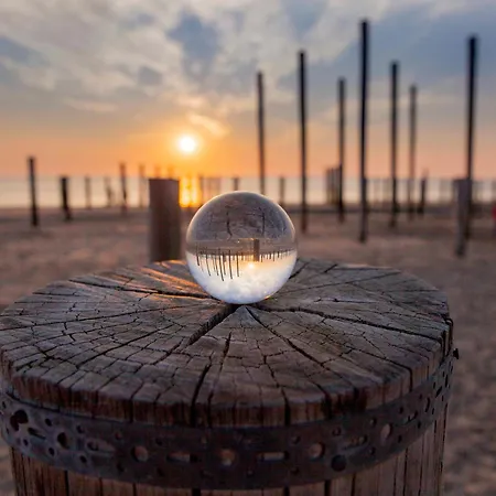 Апартаменты Schelp 5 Personen - Zeezand Recreatie