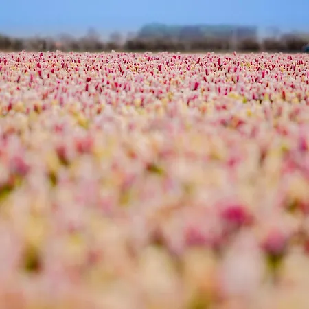 Апартаменты Schelp 5 Personen - Zeezand Recreatie Stolpen