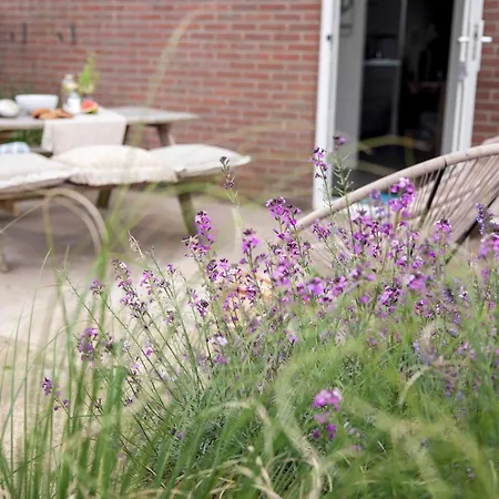 Апартаменты Schelp 5 Personen - Zeezand Recreatie