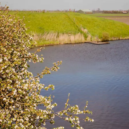 Апартаменты Schelp 5 Personen - Zeezand Recreatie