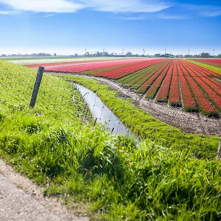 Апартаменты Schelp 5 Personen - Zeezand Recreatie Stolpen