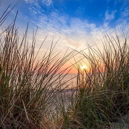 Апартаменты Schelp 5 Personen - Zeezand Recreatie