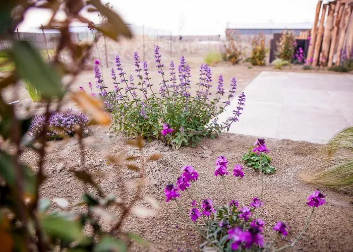 Appartement Schelp 5 Personen - Zeezand Recreatie *