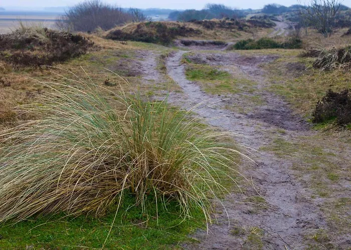 Schelp 5 Personen - Zeezand Recreatie Appartement