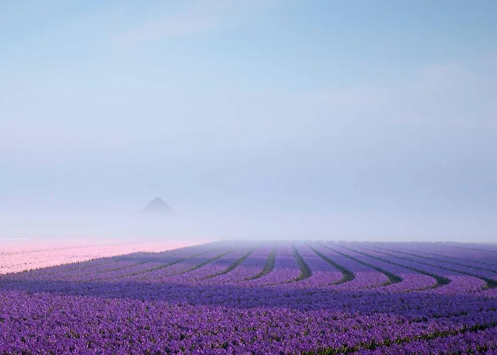 Schelp 5 Personen - Zeezand Recreatie Stolpen