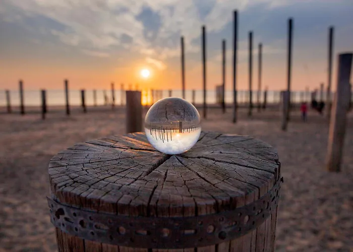 Appartement Schelp 5 Personen - Zeezand Recreatie