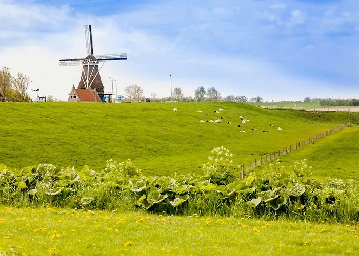 Appartement Schelp 5 Personen - Zeezand Recreatie