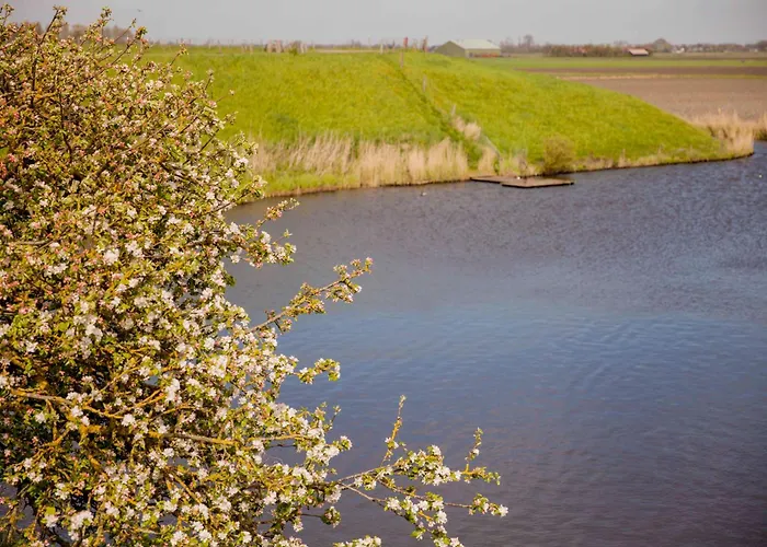 Appartement Schelp 5 Personen - Zeezand Recreatie