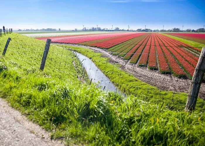 Appartement Schelp 5 Personen - Zeezand Recreatie Stolpen