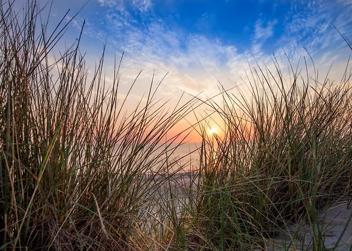 Appartement Schelp 5 Personen - Zeezand Recreatie