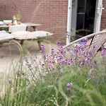 Apartmán Schelp 5 Personen - Zeezand Recreatie