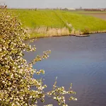 Apartmán Schelp 5 Personen - Zeezand Recreatie